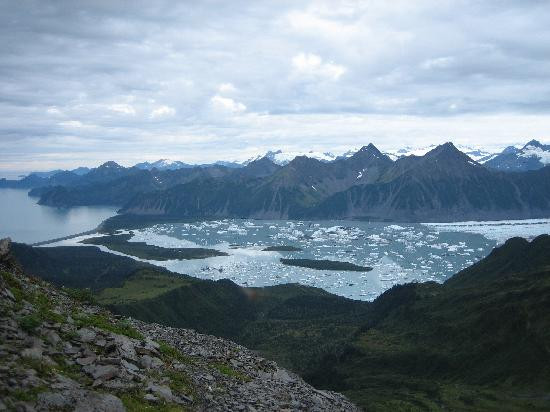 Bear Glacier-苏厄德必去景点