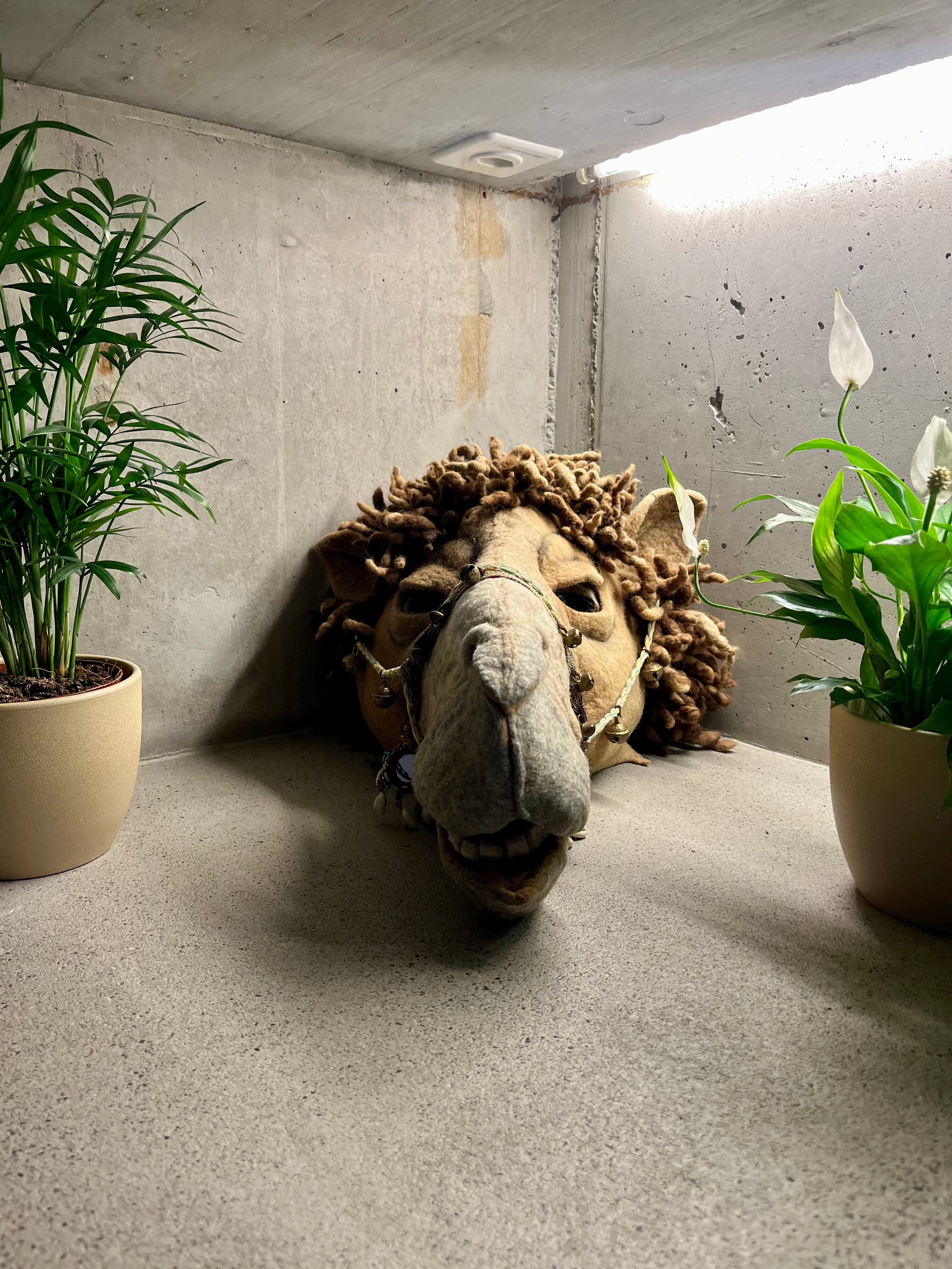 Nomad Design & Lifestyle Hotel-浴室