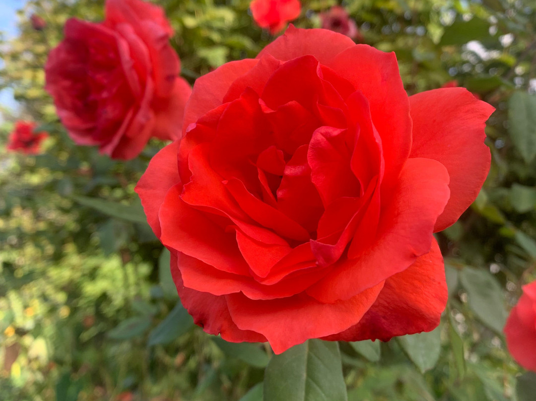 The Green Village Eco Resort主图