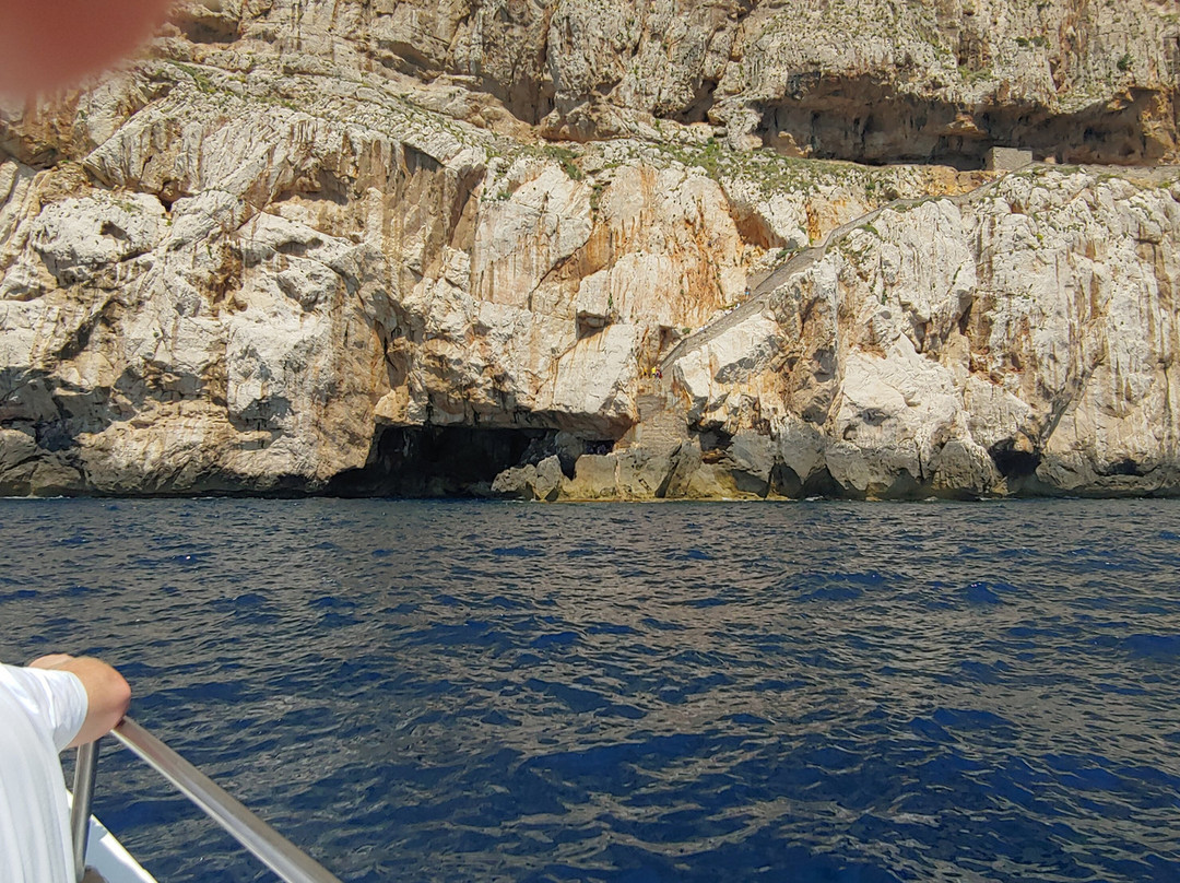 Freccia delle Grotte - Escursioni Grotte di Nettuno-阿尔盖罗必去景点