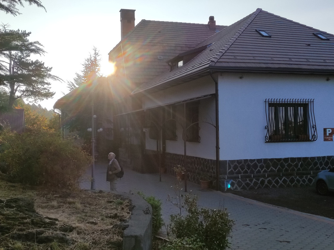 Hotel Villa Dorata主图