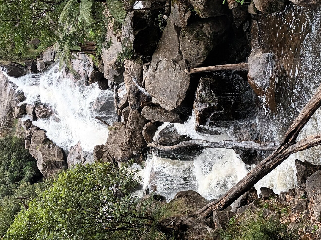 St Columba Falls Reserve景点图片
