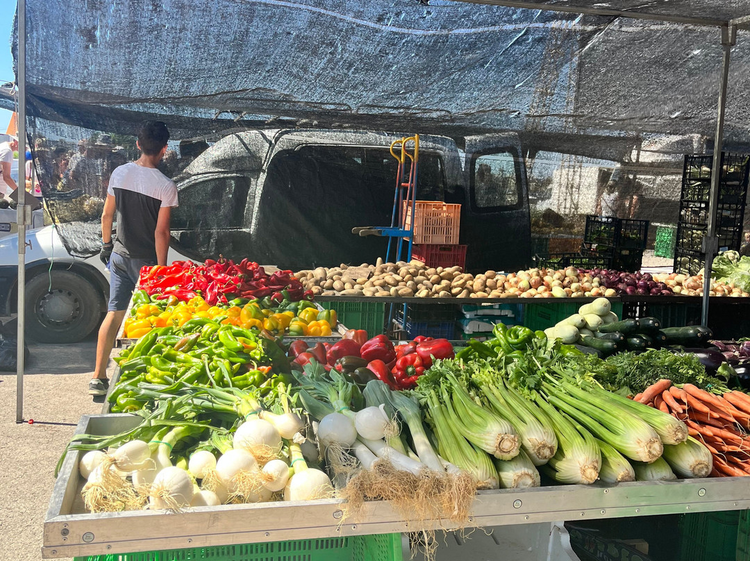 Mercadillo Torrevieja景点图片