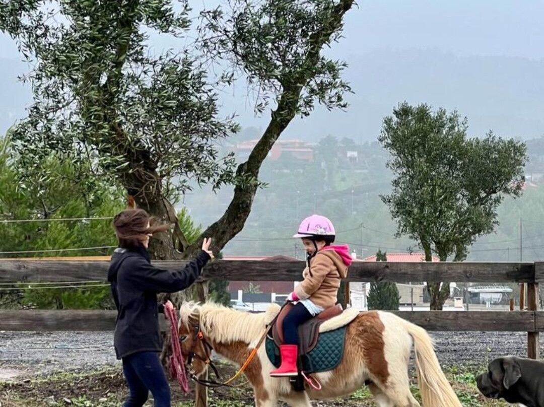 Equi Cascais-卡斯凯什必去景点