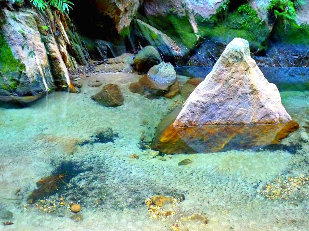 Canyon des Rats景点图片