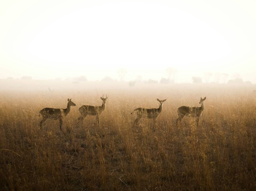 null-Kidepo Valley National Park