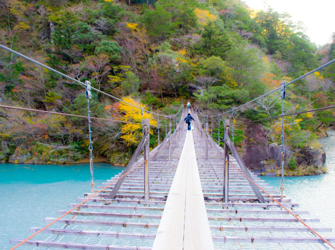 Yume no Tsuribashi Suspension Bridge景点图片