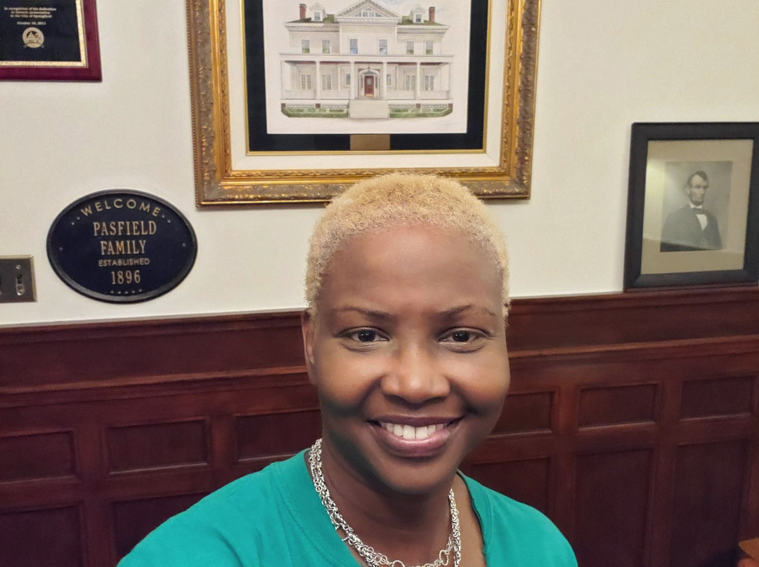 The Pasfield House主图