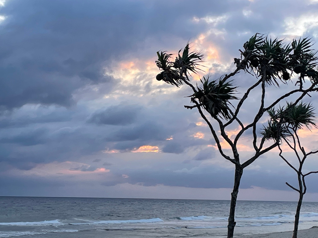 Tamanu on the Beach Resort and Spa主图