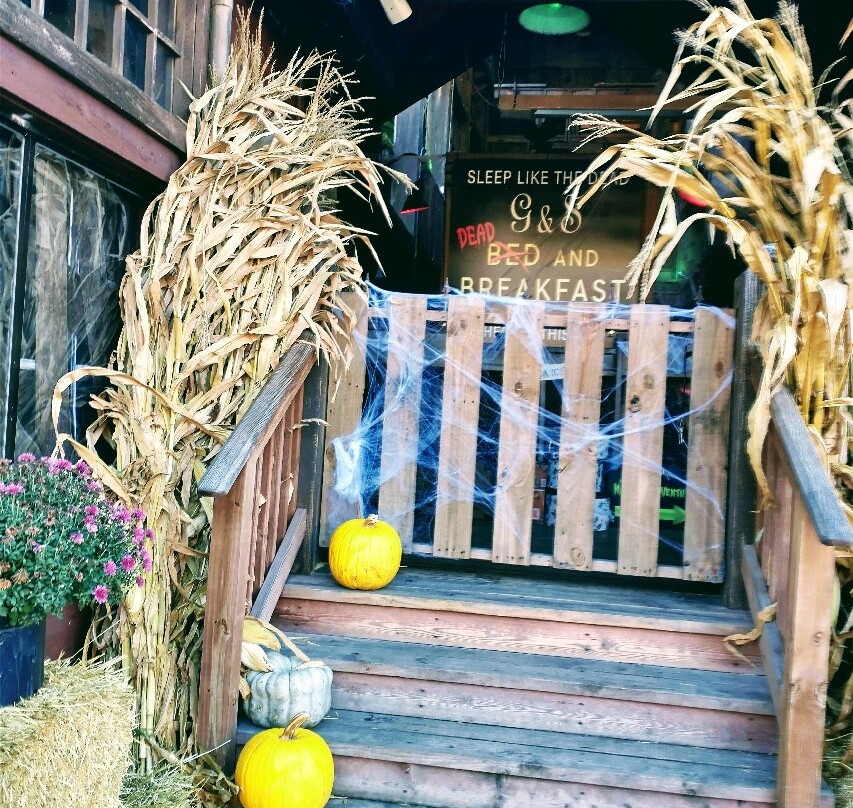 Ripley's Haunted Adventure-盖林柏格必去景点