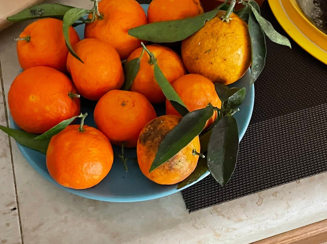 B&B Il Giardino di Gabri主图