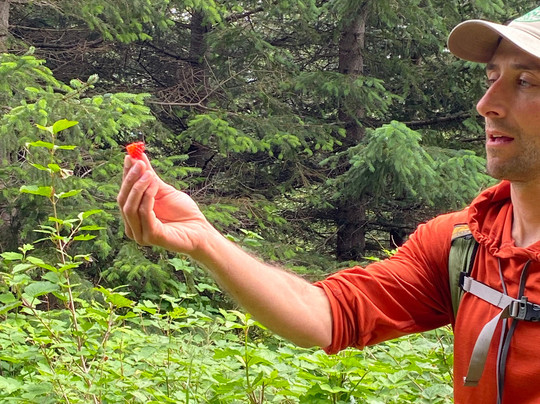 Seward Wilderness Collective-苏厄德必去景点