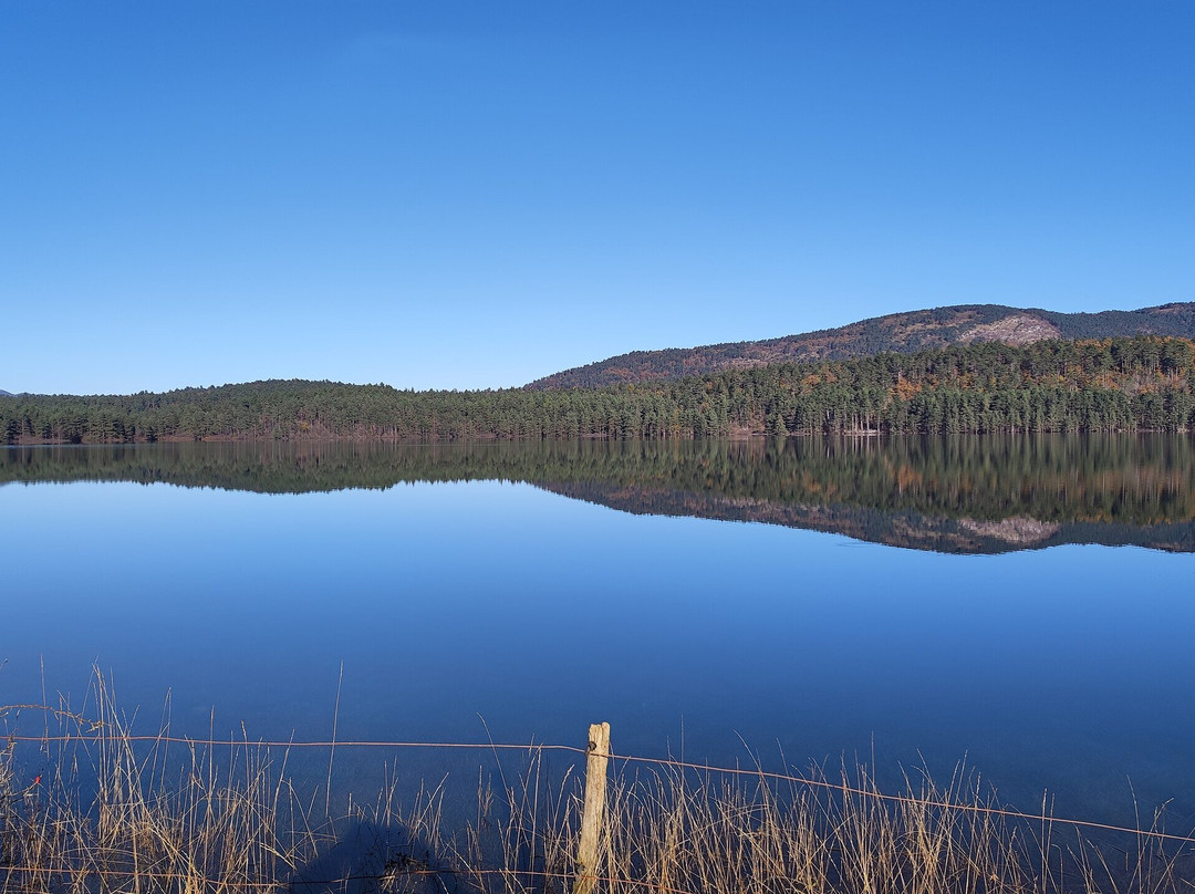 Lake Palčje景点图片