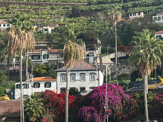 Spinach Tours Funchal-沙尔必去景点