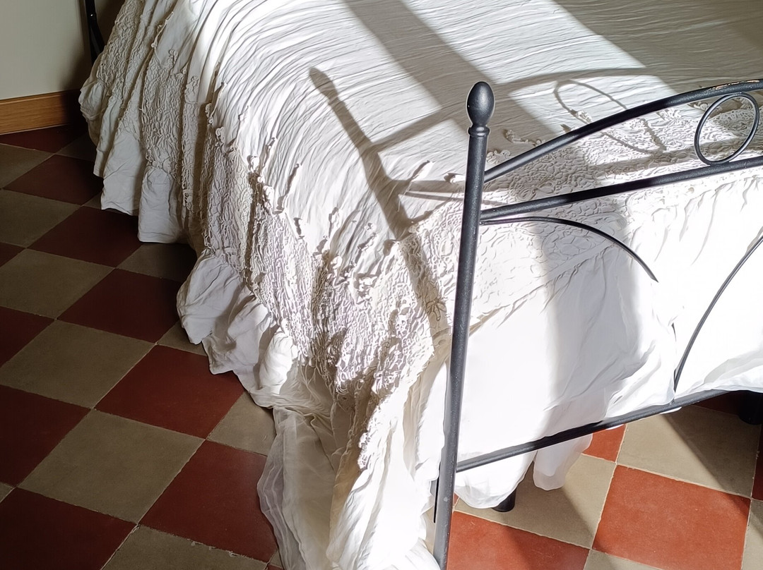 Residenza Ducale主图