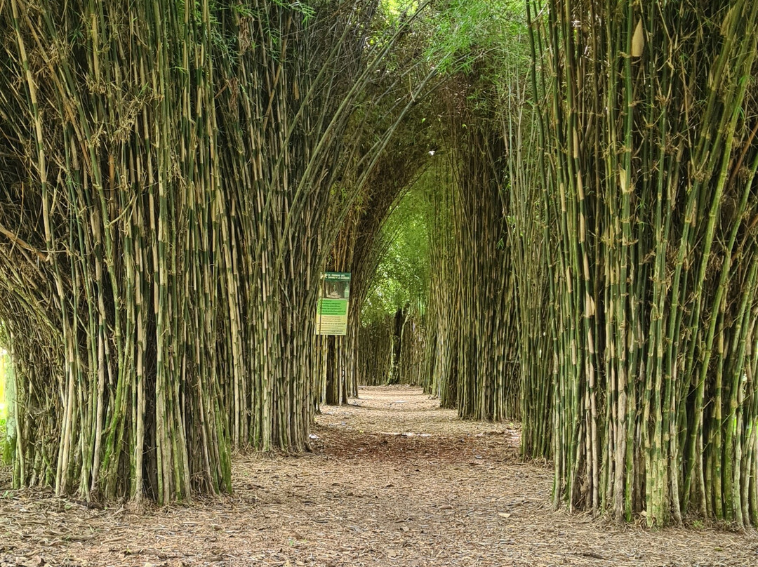 El Paraiso del Bambu y La Guadua-Montenegro必去景点