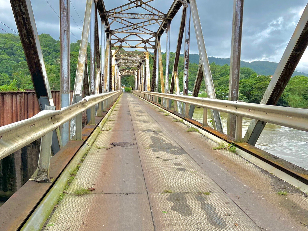 Portland Experience-Rio Grande Rafting Jamaica景点图片