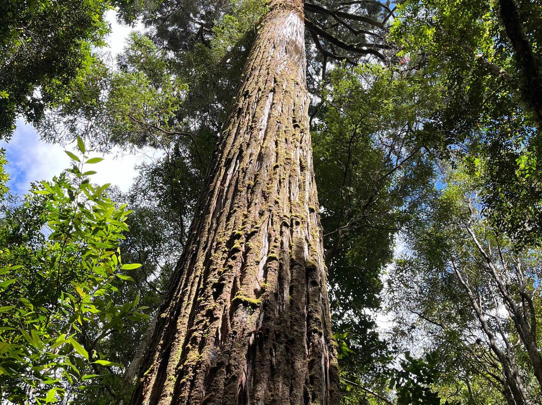 Parque Kewle-巴拉斯港必去景点