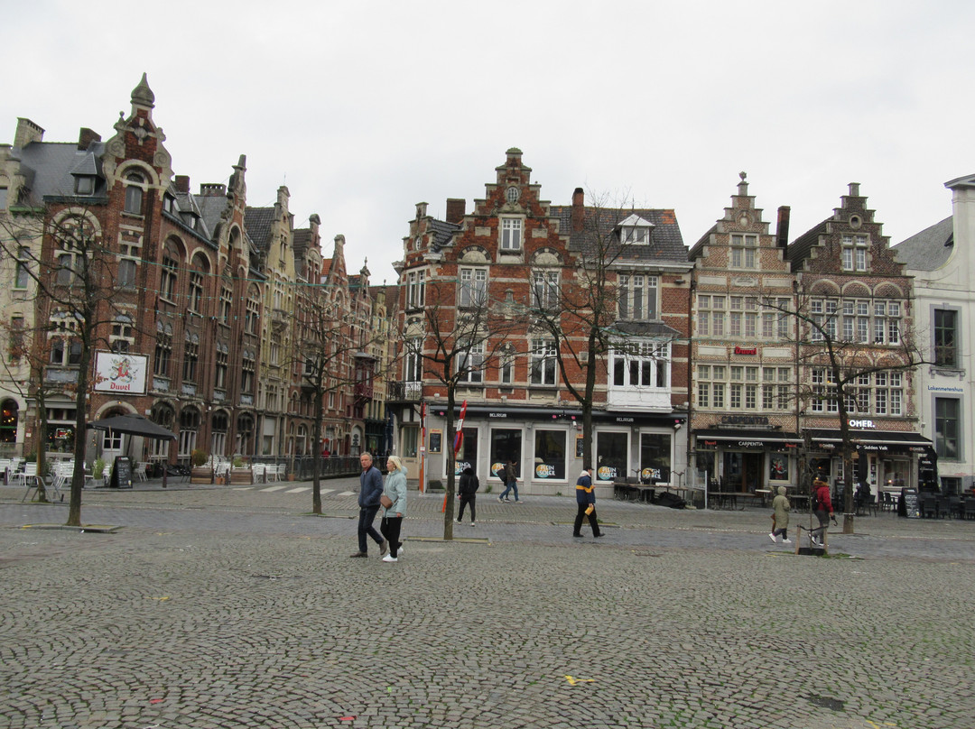 Vrijdagmarkt景点图片