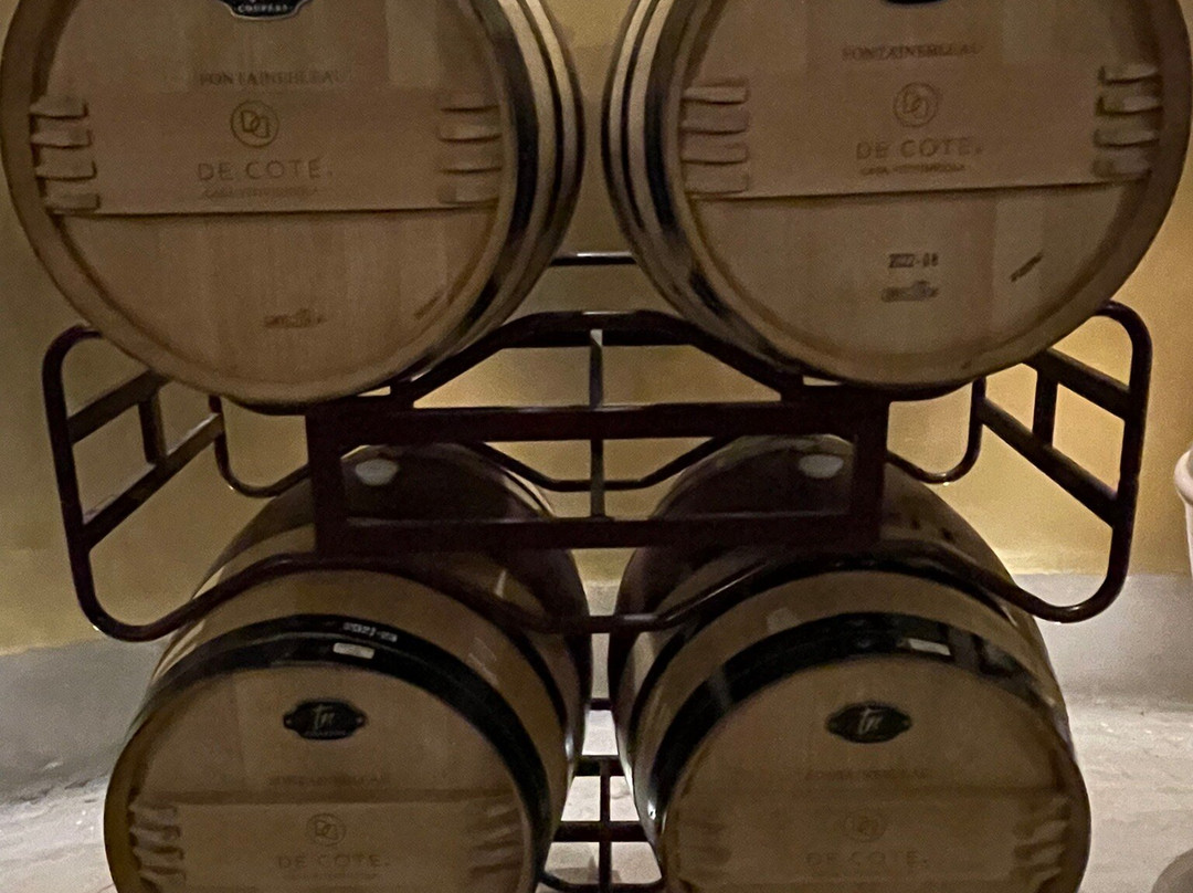 De Cote Casa Vitivinicola景点图片