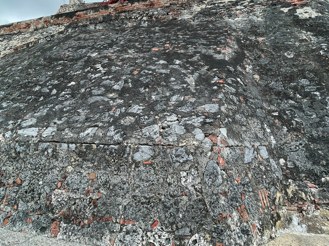 Green tours-卡塔赫纳必去景点