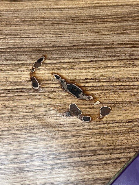 TownePlace Suites by Marriott Boynton Beach主图