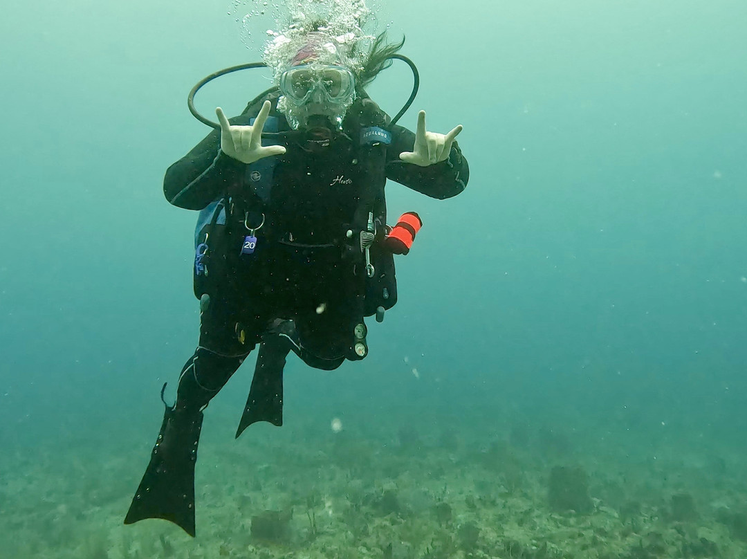 Scuba Steph Instructor-庞帕诺比奇必去景点