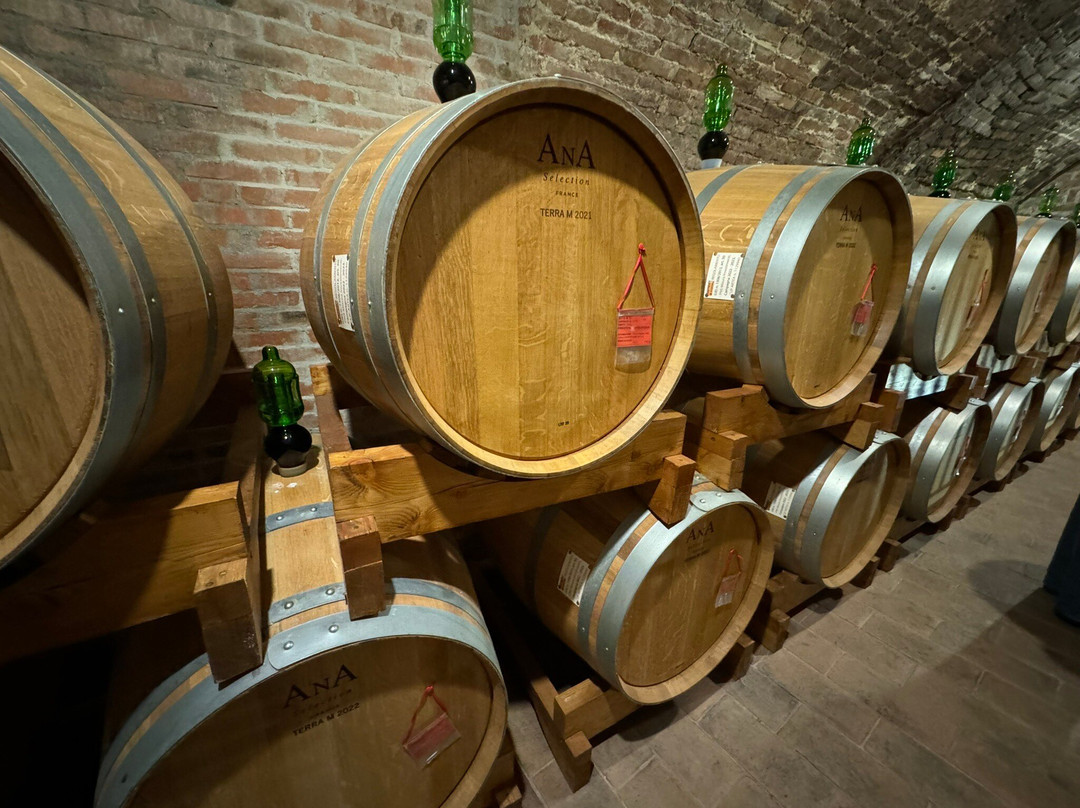 Pek tuscany in Limo-佛罗伦萨必去景点