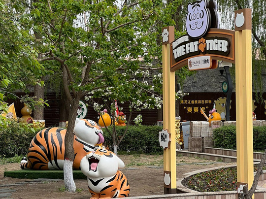东北虎林园-哈尔滨市必去景点