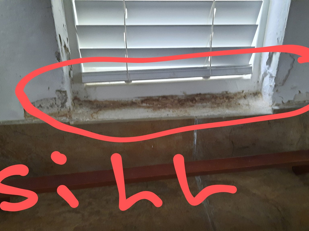 Hotel Coral Reef Resort主图