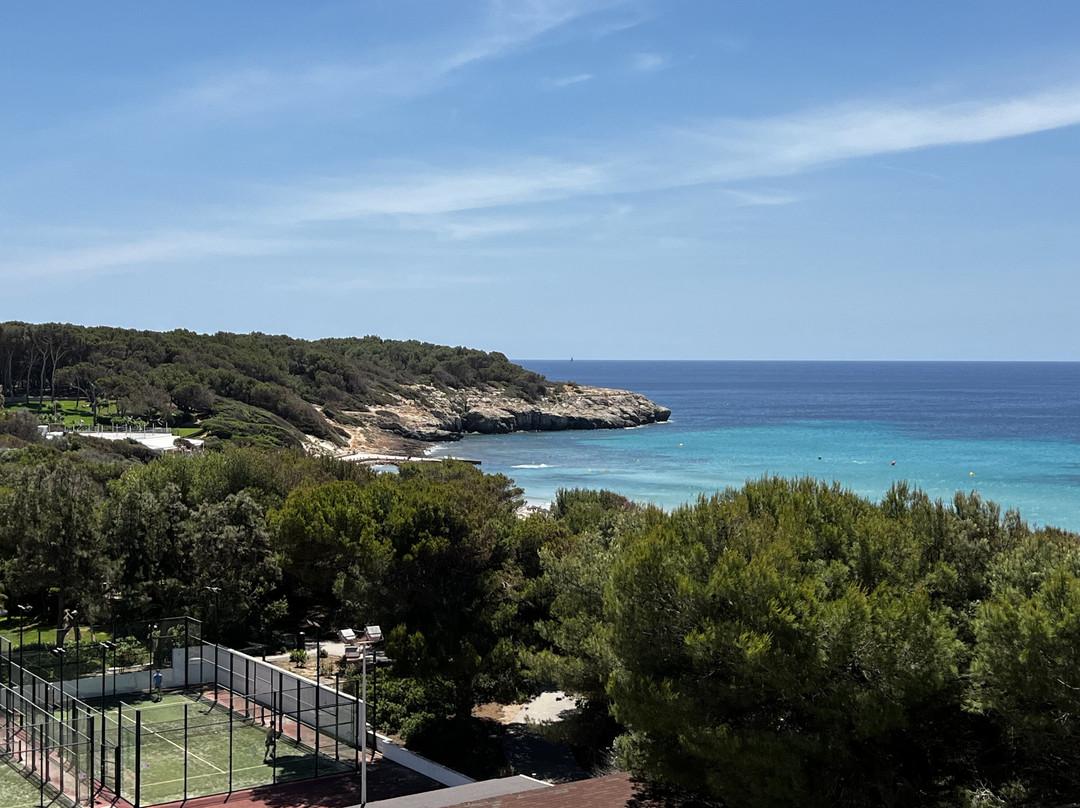 Globales Lord Nelson主图