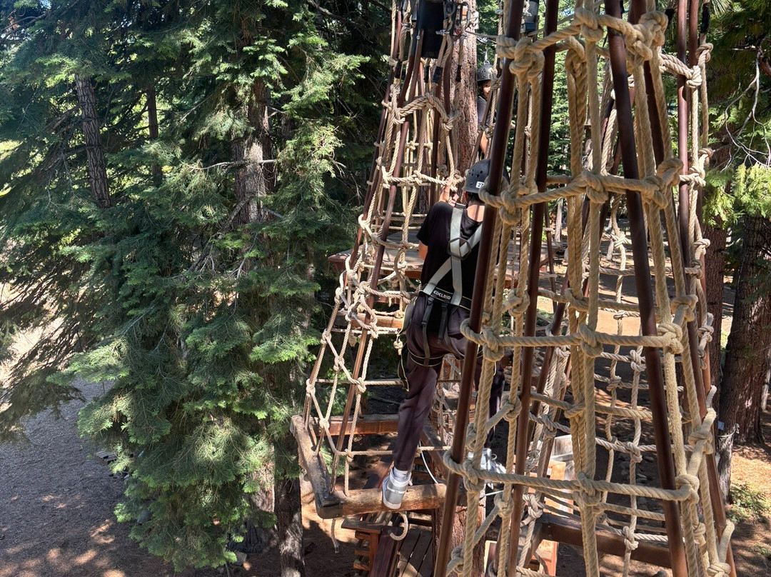 Tahoe Vista Treetop-塔霍维斯塔必去景点