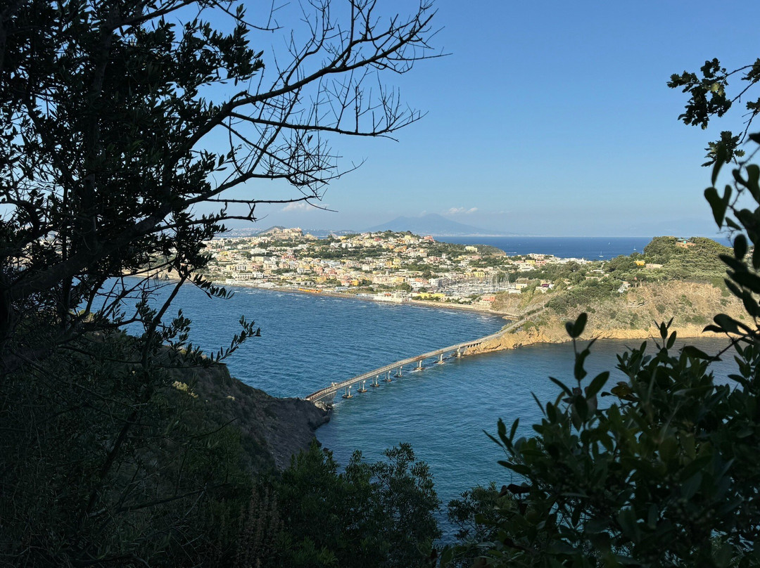 Riserva Naturale Statale Isola di Vivara景点图片