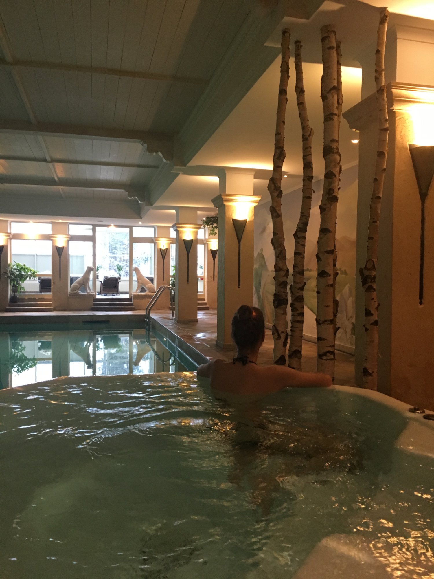 Aktiv- & Wellnesshotel Bergfried-泳池