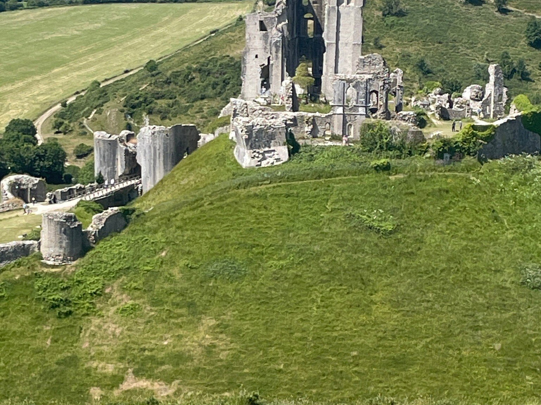 Purbeck Safari景点图片