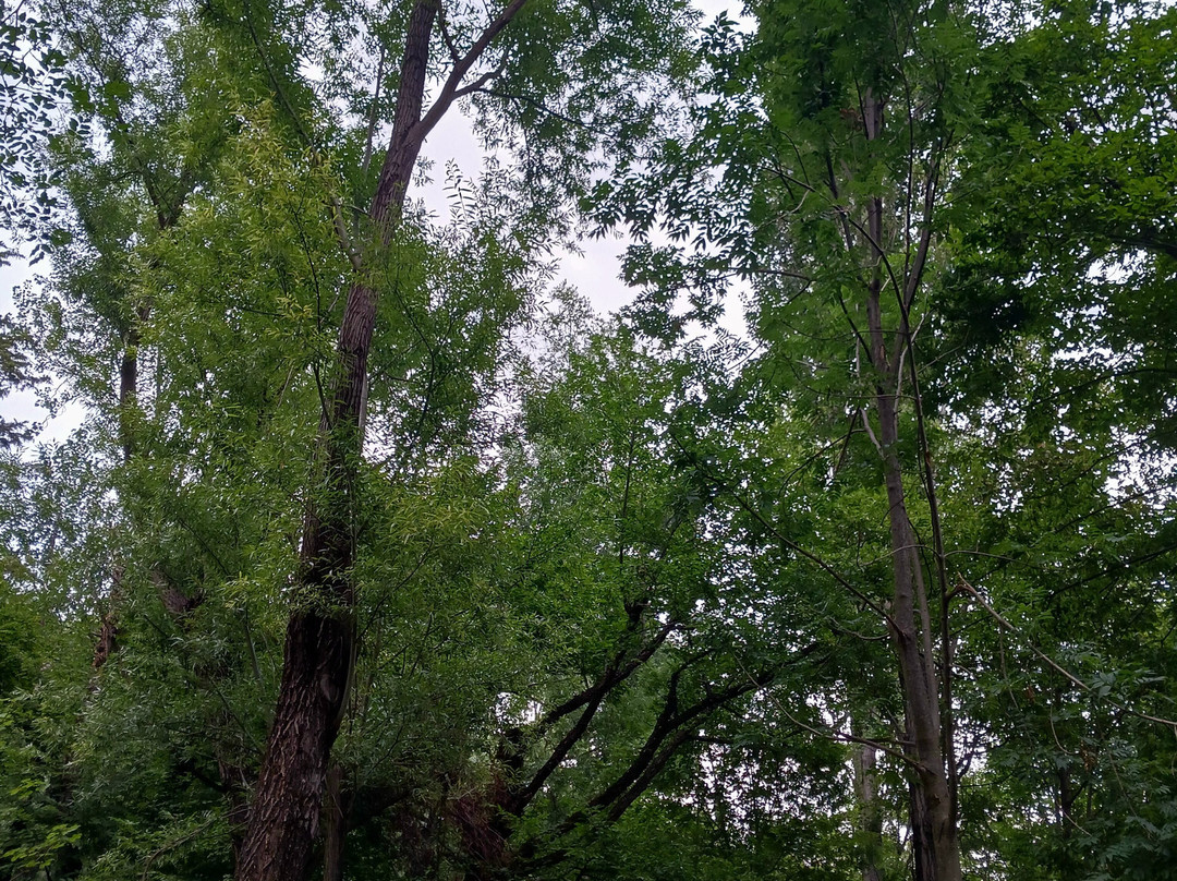Parco Fluviale delle Acquevive景点图片