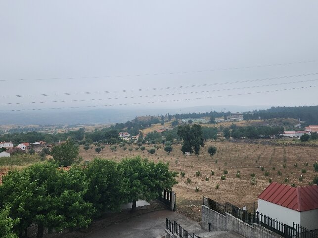 Hotel Quinta dos Cedros-官方
