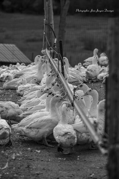 La Ferme Basque de Charlevoix-Saint Urbain必去景点