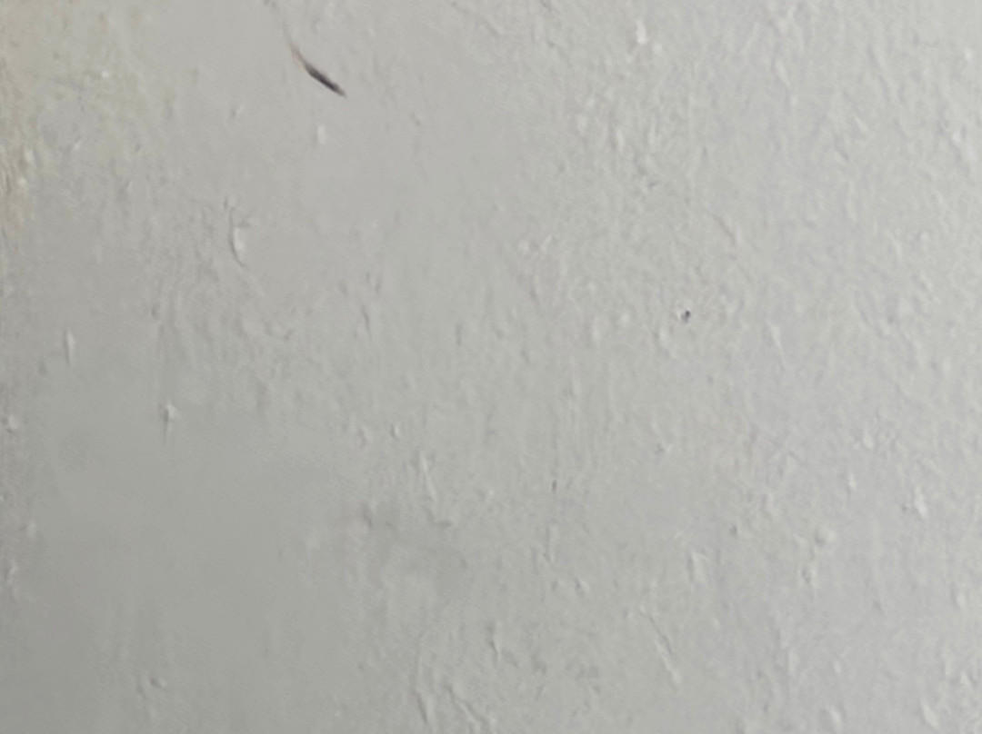 La Quinta Inn & Suites by Wyndham Warwick Providence Airport主图