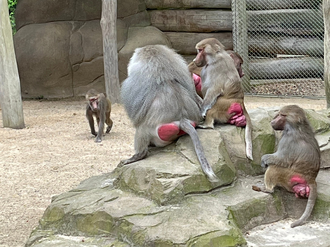 Tierpark Essehof-Lehre必去景点