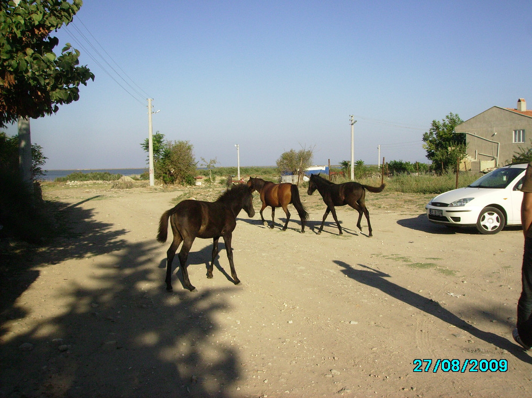 Eski Türk Mezarlığı