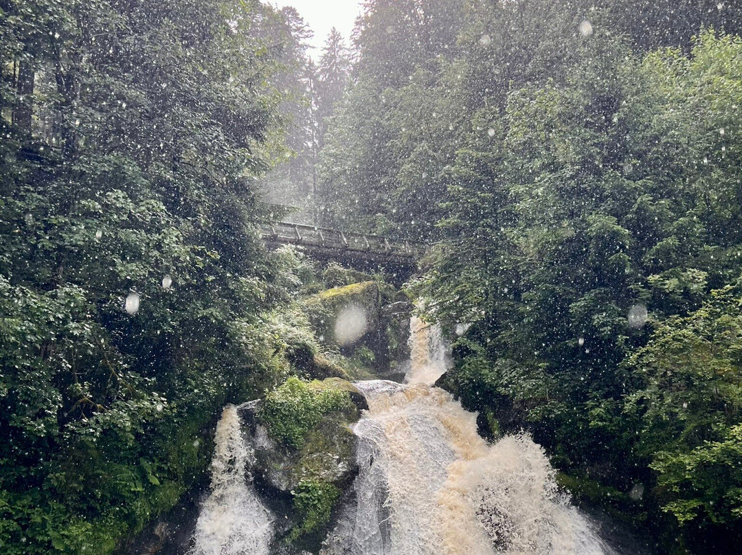 Triberg Waterfalls景点图片