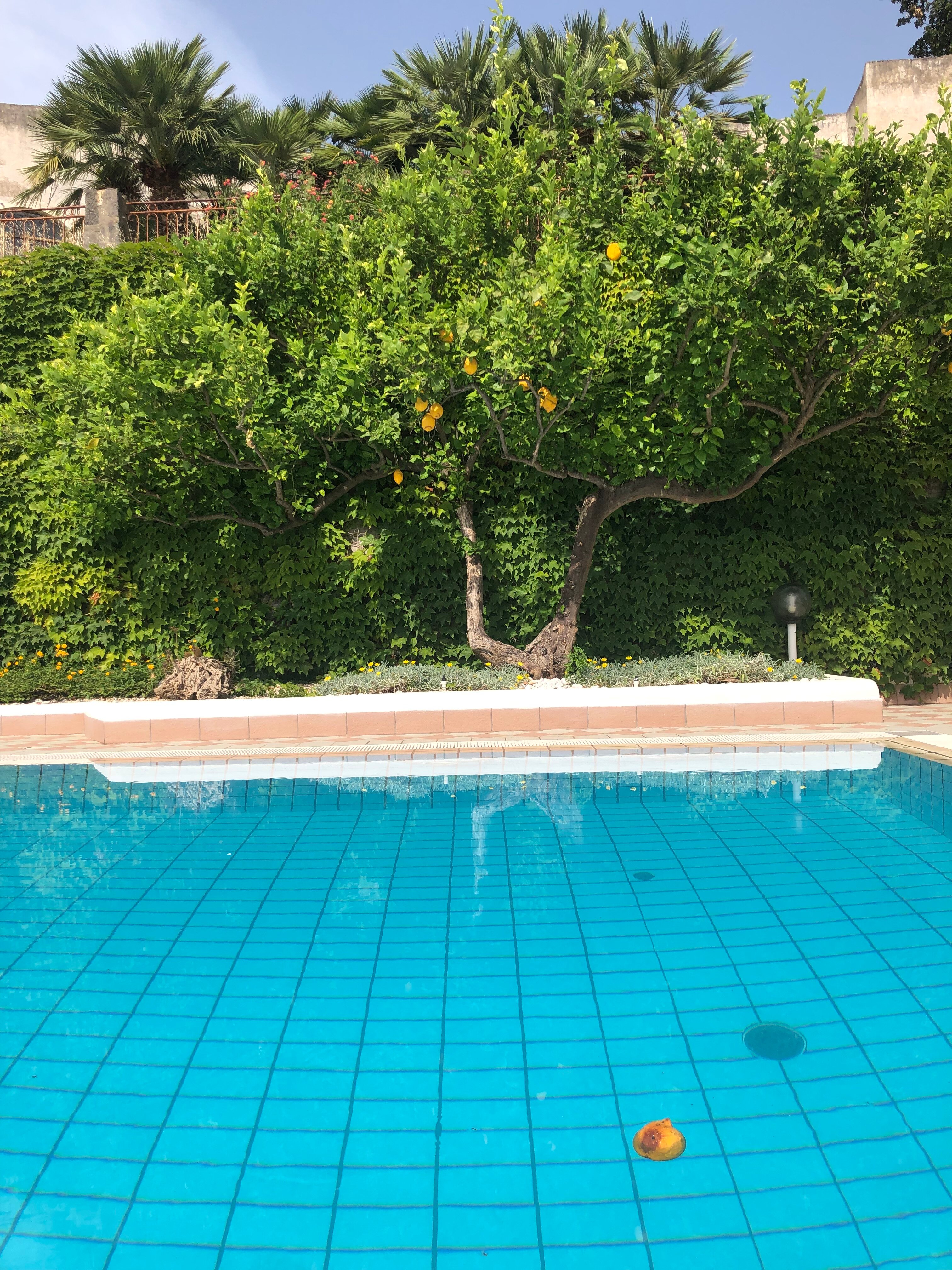 Hotel Villa D'Orta-官方