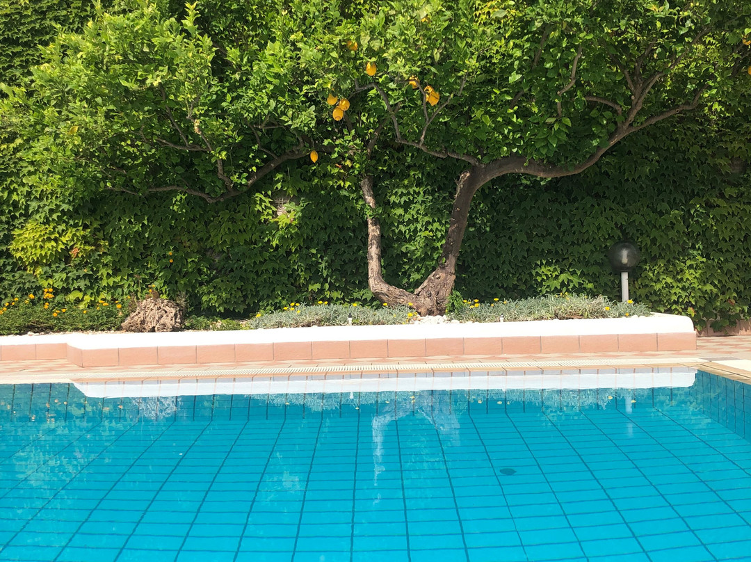 Hotel Villa D'Orta主图