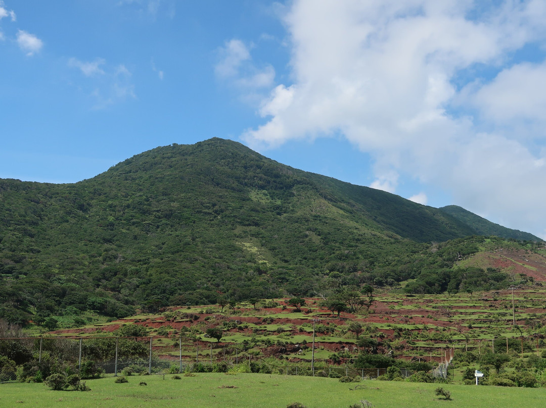 Nozakijima Visitor Center景点图片