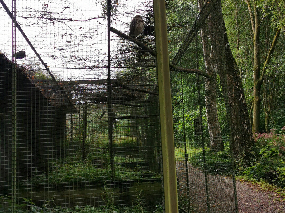 Denmarks Bird Zoo-Tommerup必去景点