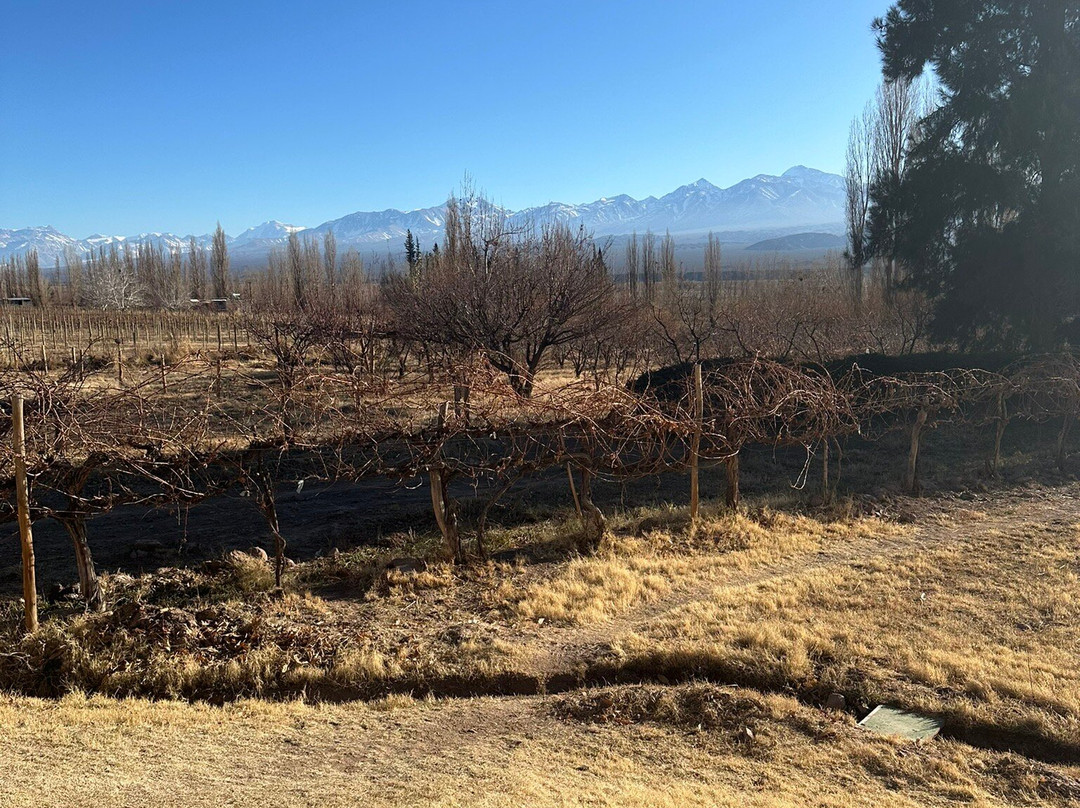 Bodega Entre Tapias-Barreal必去景点