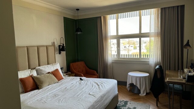 Sarovar Portico, Srinagar-客卧