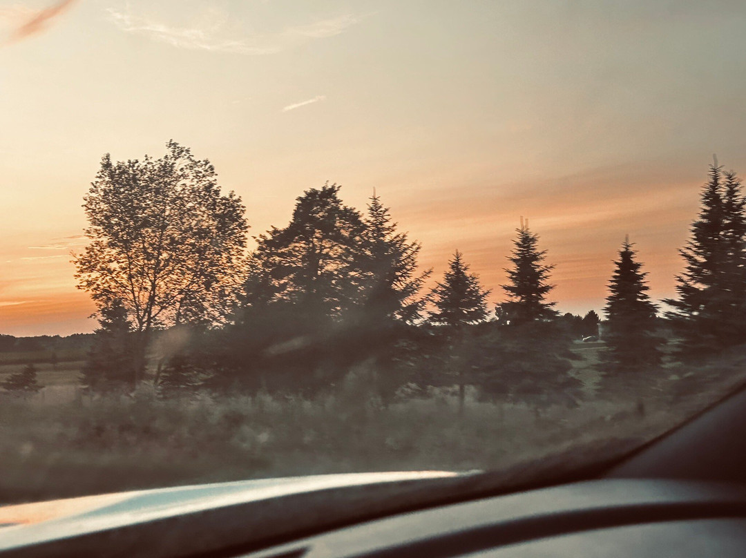 Baymont by Wyndham Paw Paw主图