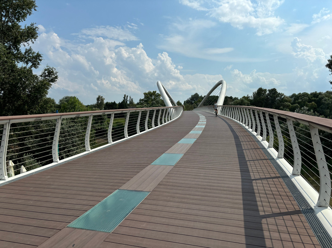 Tiszavirág Pedestrian Bridge-Szolnok必去景点